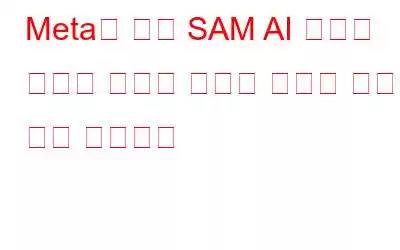 Meta의 최신 SAM AI 모델은 이미지 감지에 혁명을 일으킬 준비가 되어 있습니다