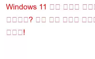 Windows 11 검색 메뉴가 저절로 열리나요? 다음 수정 사항을 시도해 보세요!