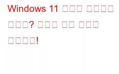 Windows 11 웹캠이 작동하지 않나요? 여기에 수정 사항이 있습니다!