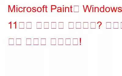 Microsoft Paint가 Windows 11에서 작동하지 않습니까? 여기에 수정 사항이 있습니다!