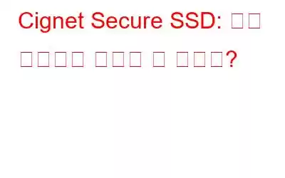 Cignet Secure SSD: 보안 솔루션의 종말이 올 것인가?