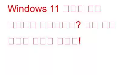 Windows 11 배경이 계속 자동으로 변경되나요? 다음 수정 사항을 시도해 보세요!