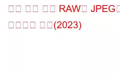 품질 저하 없이 RAW를 JPEG로 변환하는 방법(2023)