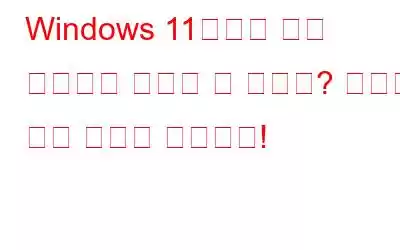 Windows 11에서는 화면 해상도를 변경할 수 없나요? 여기에 수정 사항이 있습니다!