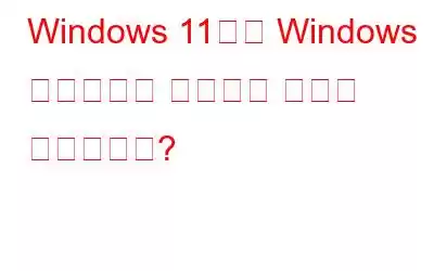 Windows 11에서 Windows 업데이트를 중지하는 방법은 무엇입니까?