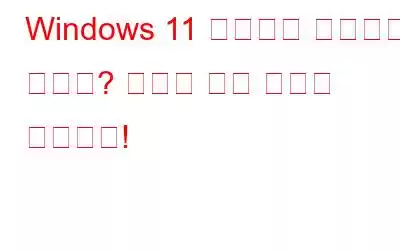 Windows 11 검색창이 작동하지 않나요? 여기에 수정 사항이 있습니다!