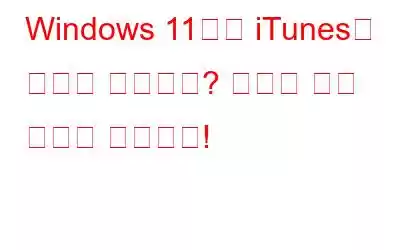 Windows 11에서 iTunes가 열리지 않습니까? 여기에 수정 사항이 있습니다!