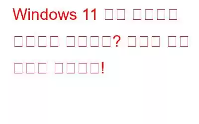 Windows 11 앱이 인터넷에 연결되지 않습니까? 여기에 수정 사항이 있습니다!