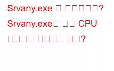 Srvany.exe 란 무엇입니까? Srvany.exe의 높은 CPU 사용량을 수정하는 방법?