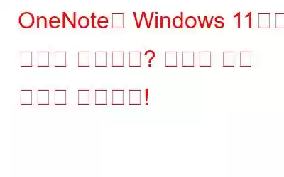 OneNote가 Windows 11에서 열리지 않습니까? 여기에 수정 사항이 있습니다!