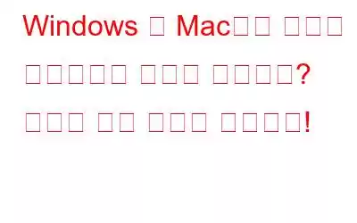 Windows 및 Mac에서 키보드 백라이트가 켜지지 않습니까? 여기에 수정 사항이 있습니다!