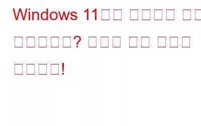 Windows 11에서 마우스가 계속 클릭되나요? 여기에 수정 사항이 있습니다!