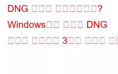 DNG 파일이 손실되었나요? Windows에서 삭제된 DNG 파일을 복구하는 3가지 유용한 방법